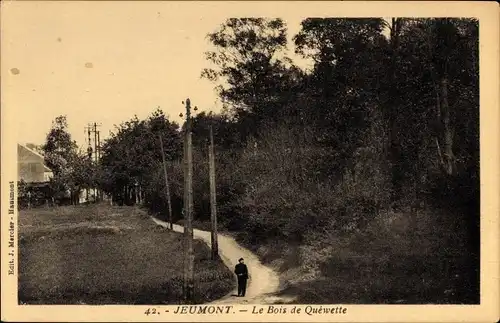 Ak Jeumont Nord, Le Bois de Quewette