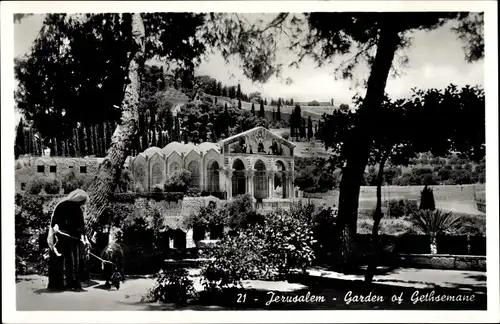 Ak Jerusalem und der Garten Gethsemane