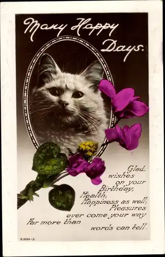 Ak Weiße Katze, Katzenportrait, Glückwunsch, Blumen