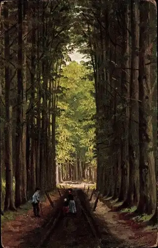 Künstler Ak Gerstenhauer, J. G., niederländisches Motiv, Waldweg