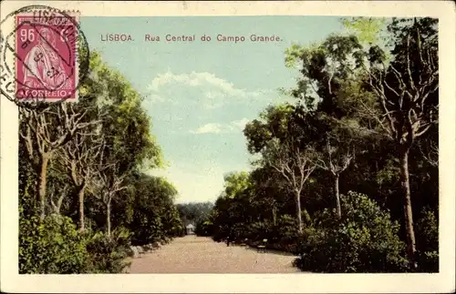 Ak Lisboa Lissabon Portugal, Rue Central do Campo Grande