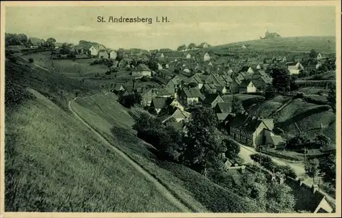 Ak Sankt Andreasberg im Oberharz, Gesamtansicht