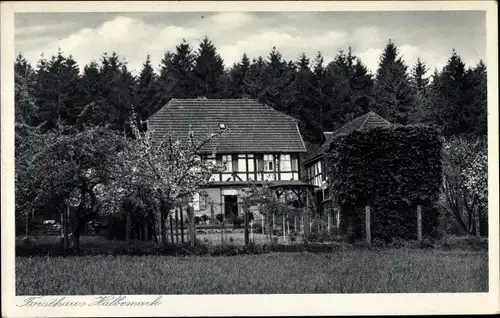 Ak Orferode Bad Sooden Allendorf in Hessen, Forsthaus Halbemark