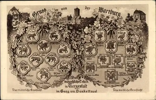 Ak Lutherstadt Eisenach in Thüringen, Wartburg, Das menschliche Leben in Tiergestalt