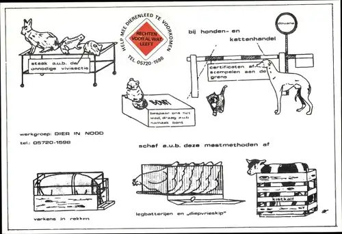 Künstler Ak Im Hunde- und Katzenhandel, Dier in Nood
