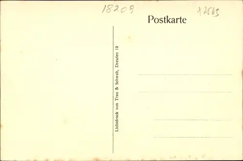 Ak Seebad Heiligendamm Bad Doberan, Villen, Straßenansicht