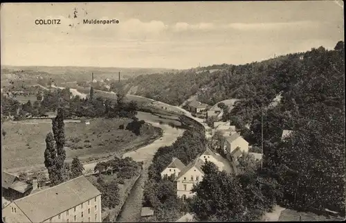 Ak Colditz b. Grimma, Muldenpartie, Vogelschau, Waldpartie