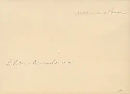 Foto Assmannshausen Rüdesheim am Rhein, Totalansicht