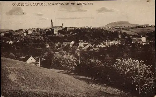Ak Złotoryja Goldberg Schlesien, Gesamtansicht, Wolfsberg