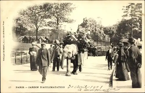 Ak Paris XVIe Passy, Jardin d’Acclimatation, Elefant