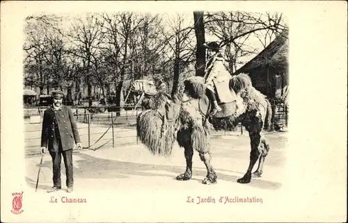 Ak Paris XVIe Passy, Jardin d'Acclimatation, Le Chameau, Frau auf einem Kamel