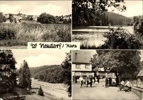 Ak Neudorf Harzgerode am Harz, Fürstenteich, Wiesengrund, Teufelsteich