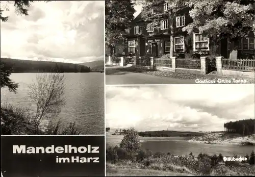 Ak Mandelholz Elend Oberharz am Brocken, Gasthaus Grüne Tanne, Staubecken