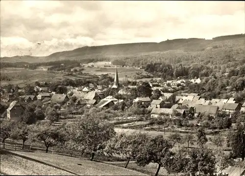 Ak Neustadt im Harz Harztor Thüringen, Gesamtansicht