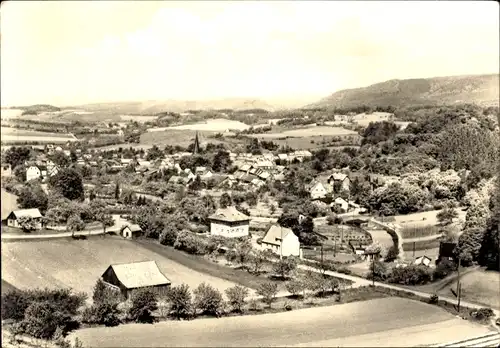 Ak Neustadt im Harz Harztor Thüringen, Gesamtansicht