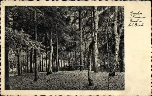 Ak Lunteren Ede Gelderland, Bank in het Bosch