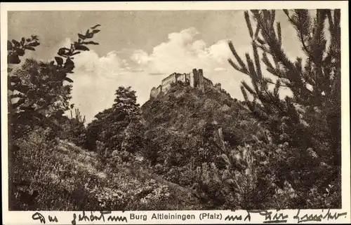 Ak Altleiningen in der Pfalz, Burg