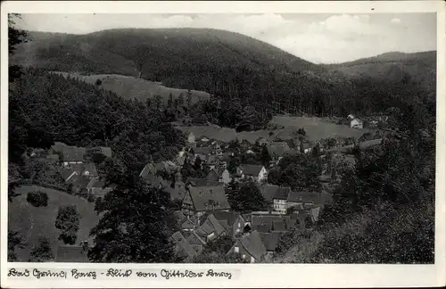 Ak Bad Grund im Harz, Teilansicht