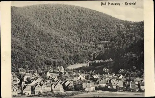 Ak Bad Harzburg am Harz, Ortsansicht, Krodotal