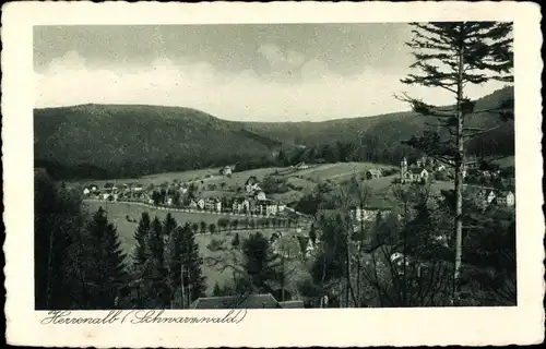 Ak Bad Herrenalb im Schwarzwald, Panorama