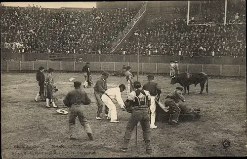 Ak Corrida, Fall of the Horse, Matador auf dem Rückzug