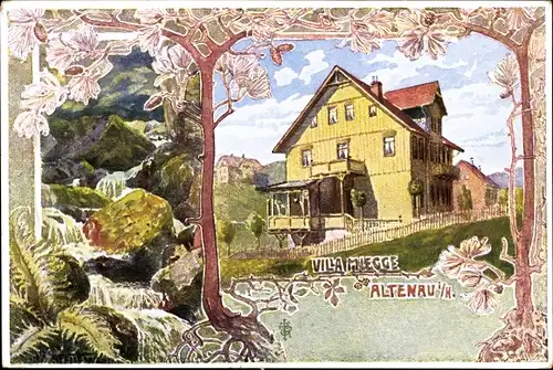 Künstler Ak Altenau im Oberharz, Villa Miegge, Bachlauf, Farn