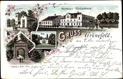 Litho Waldenburg in Sachsen, Gasthaus Grünefeld, Fürstliche Villa, Bad