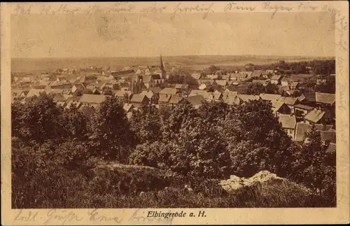 Ak Elbingerode Oberharz am Brocken, Panorama