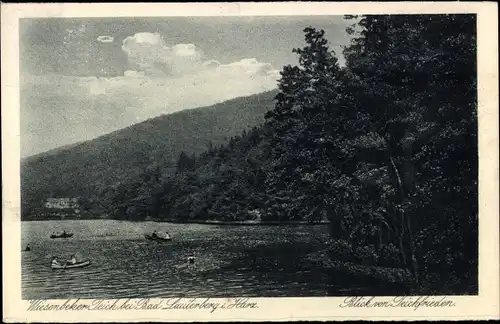 Ak Wiesenbek Bad Lauterberg im Harz, Wiesenbeker Teich, Blick von Teichfrieden
