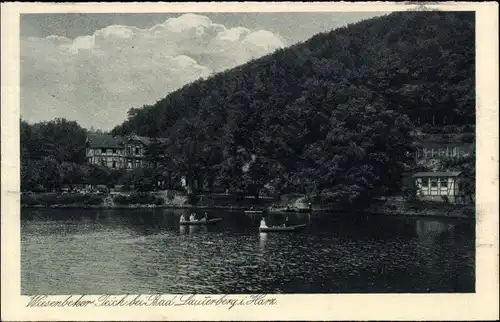 Ak Wiesenbek Bad Lauterberg im Harz, Wiesenbeker Teich, Boote