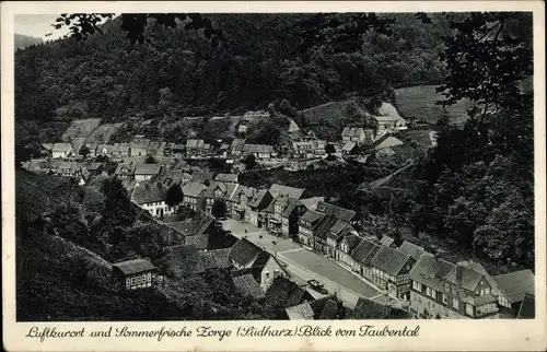 Ak Zorge Walkenried im Harz, Blick vom Taubental