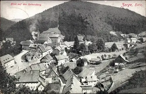 Ak Zorge Walkenried im Harz, Teilansicht, Reihersberg