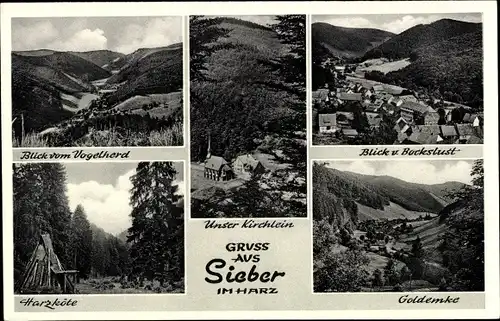 Ak Sieber Herzberg am Harz, Kirche, Harzköte, Goldemke, Blick von Bockslust, Blick vom Vogelherd