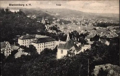 Ak Blankenburg am Harz, Gesamtansicht