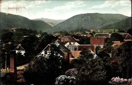 Ak Ilsenburg im Harz, Gesamtansicht