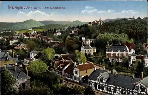 Ak Wernigerode am Harz, Am Lindenberge