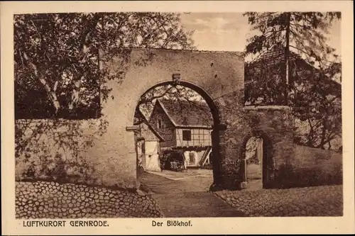 Ak Gernrode Quedlinburg im Harz, Der Blökhof, Tor