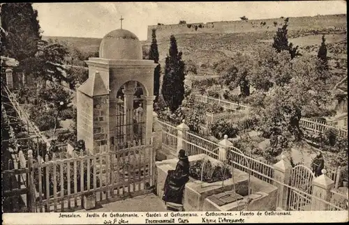 Ak Jerusalem Israel, Gethsemane Garten
