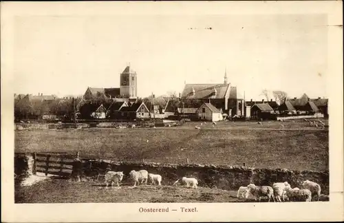 Ak Oosterend Texel Nordholland Niederlande, Ortsansicht, Schafe