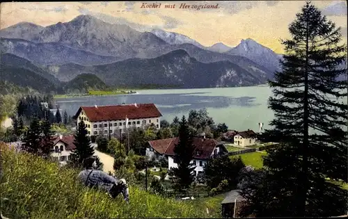 Ak Kochel am See in Oberbayern, Panorama mit Herzogstand