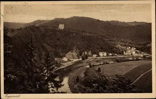 Ak Ziegenrück an der Saale Thüringen, Blick von Reisertsruh, Ortsansicht