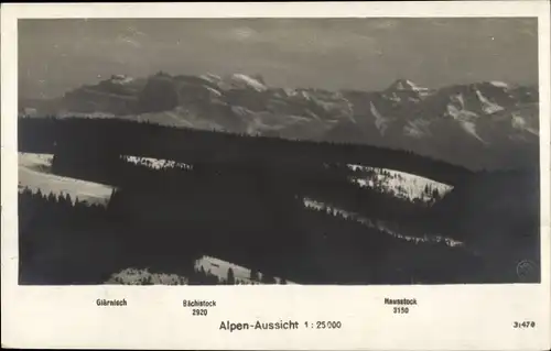 Ak Feldberg im Schwarzwald, Alpen, Hotel Hebelhof, Hausstock, Bächistock, Glärnisch