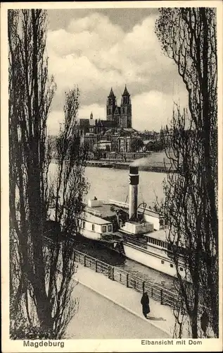 Ak Magdeburg, Elbeansicht mit Dom, Dampfschiff