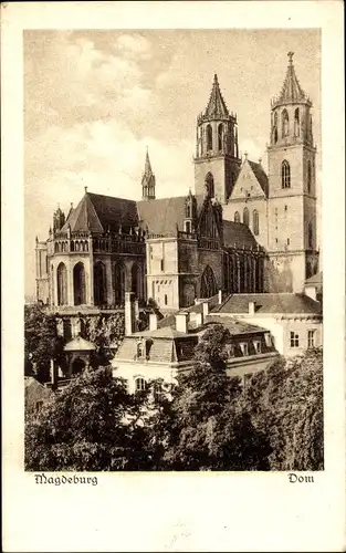 Ak Magdeburg, Dom