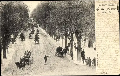 Ak Wien 2 Leopoldstadt, Prater, Hauptallee