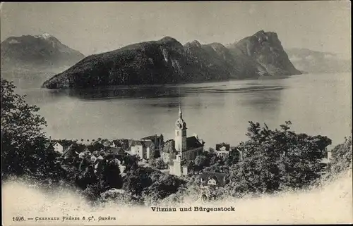 Ak Vitznau Kanton Luzern, Gesamtansicht, Bürgenstock
