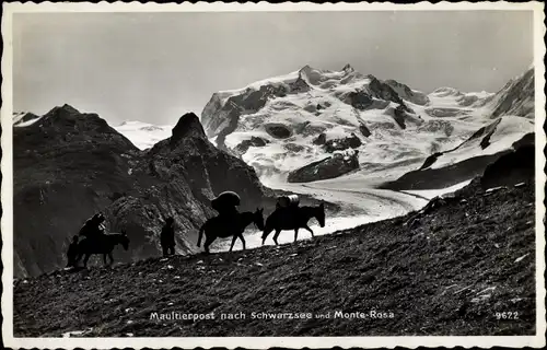 Ak Maultierpost nach Schwarzsee und Monte Rosa, Lastenesel