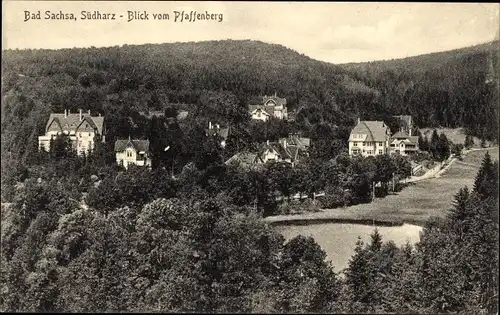 Ak Bad Sachsa im Harz, Blick vom Pfaffenberg