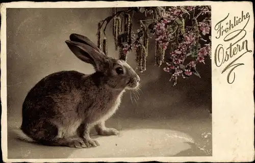 Ak Glückwunsch Ostern, Hase