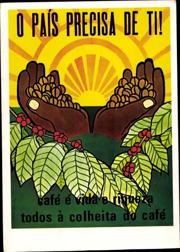 Ak Angola, Departamento de Orientação Revolucionária, MPLA, colheita do cafe